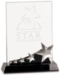 Premier Star Crystal Award (image for) Premier Star Crystal Award