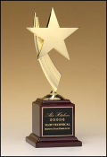 Star Awards (image for) Star Awards